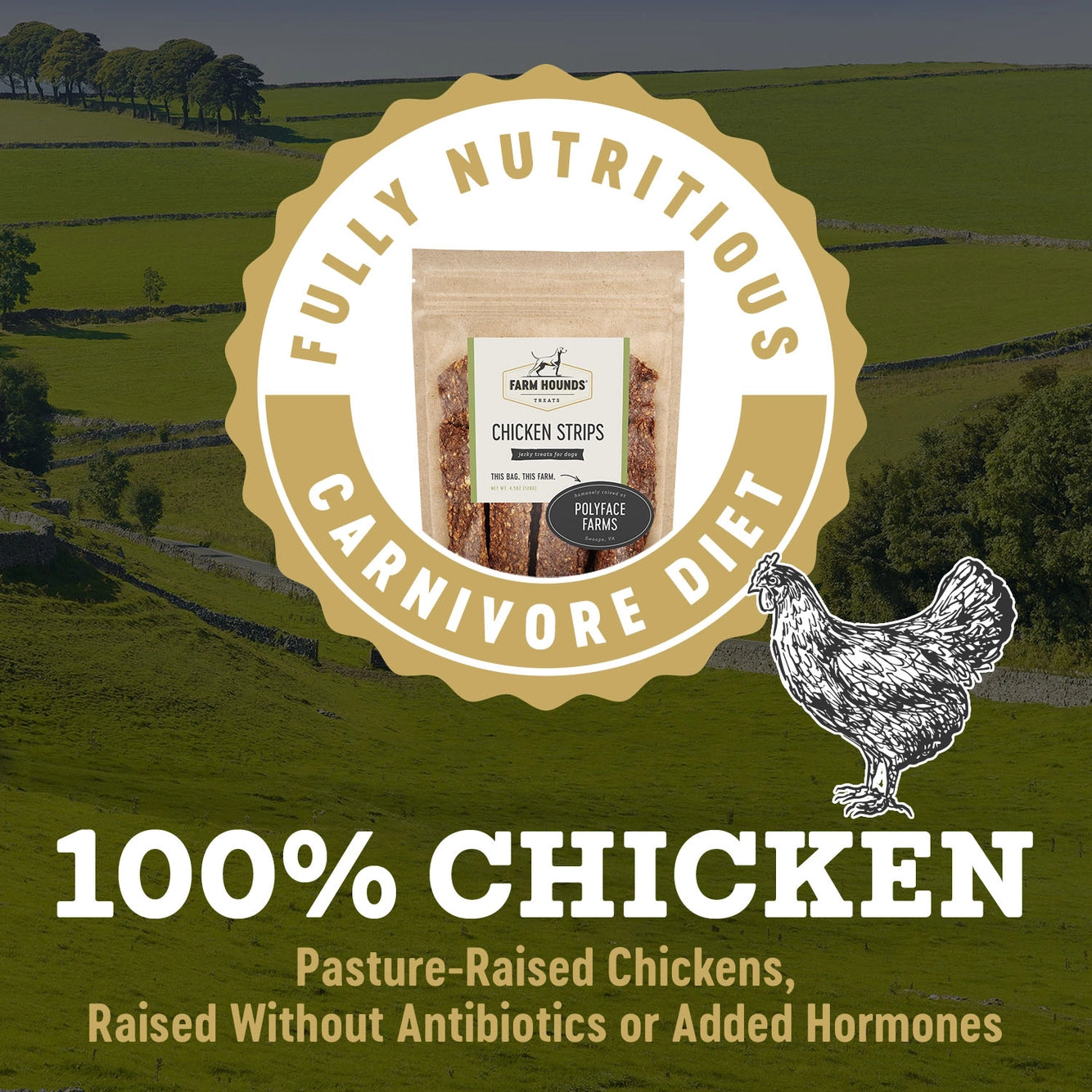 Chicken Strips - All-Natural Dog Treats - 4.5 oz Bag
