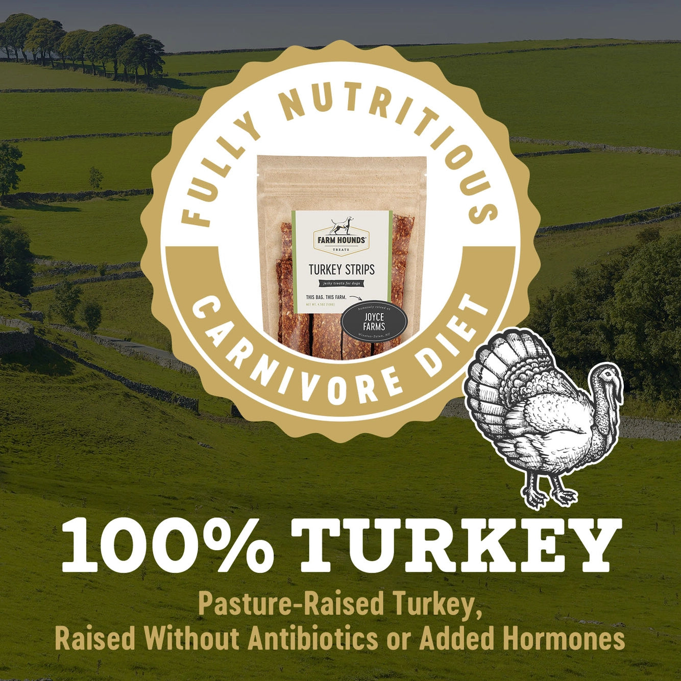 Turkey Strips - All-Natural Dog Treats - 4.5 oz Bag