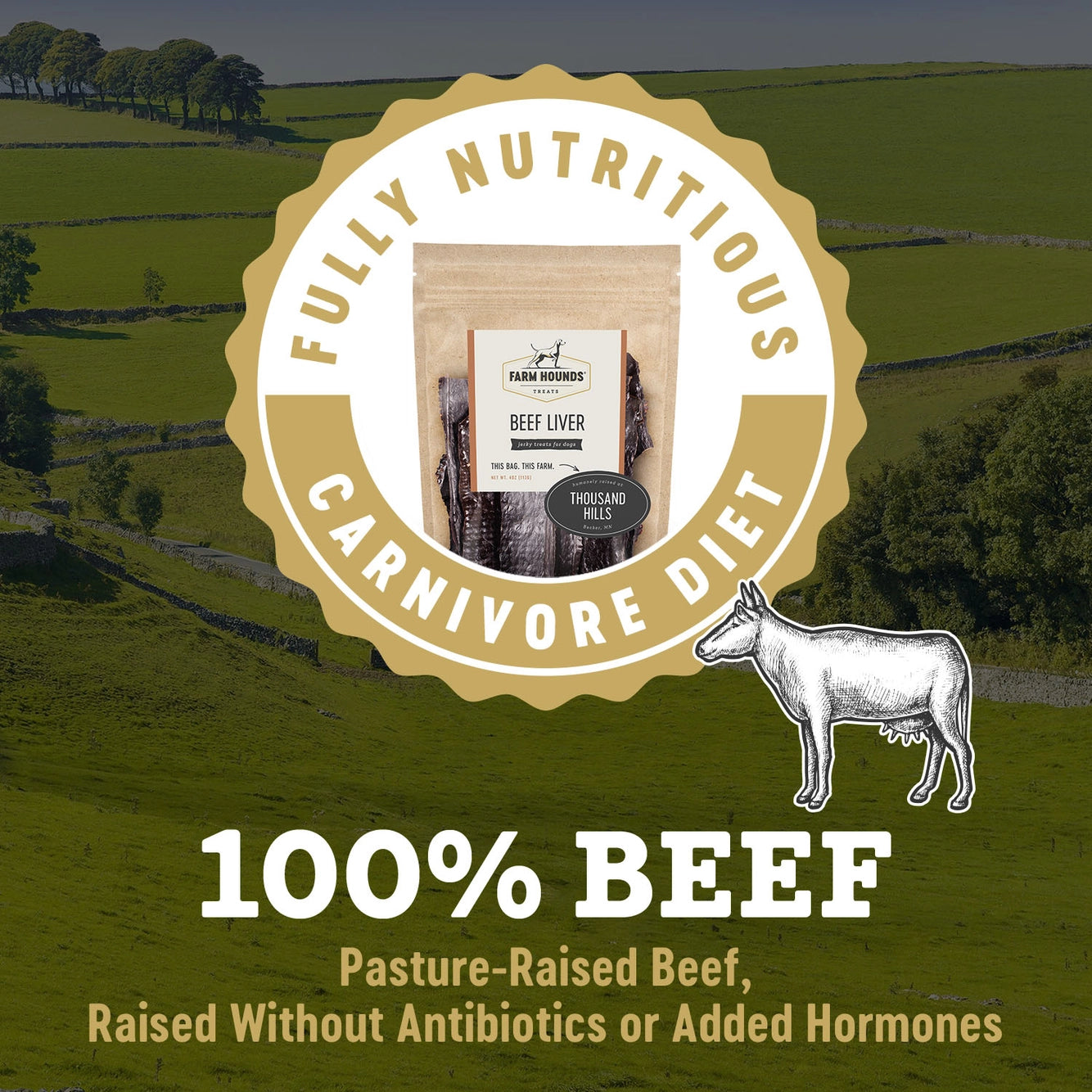 Beef Liver - All-Natural Dog Treats - 4oz Bag