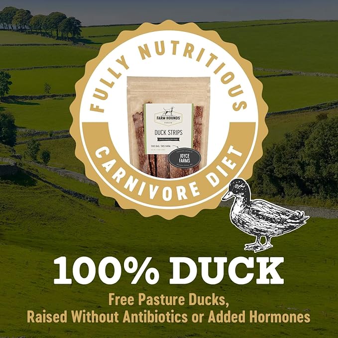 Duck Strips - All-Natural Dog Treats- 4.5 oz Bag